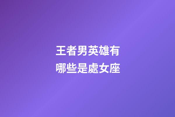 王者男英雄有哪些是處女座-第1張-星座運勢-玄機派