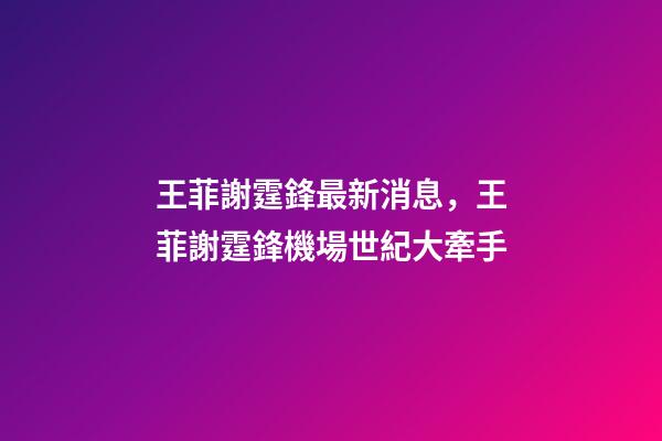 王菲謝霆鋒最新消息，王菲謝霆鋒機場世紀大牽手-第1張-觀點-玄機派