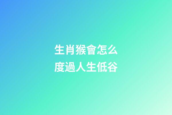 生肖猴會怎么度過人生低谷