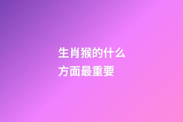 生肖猴的什么方面最重要