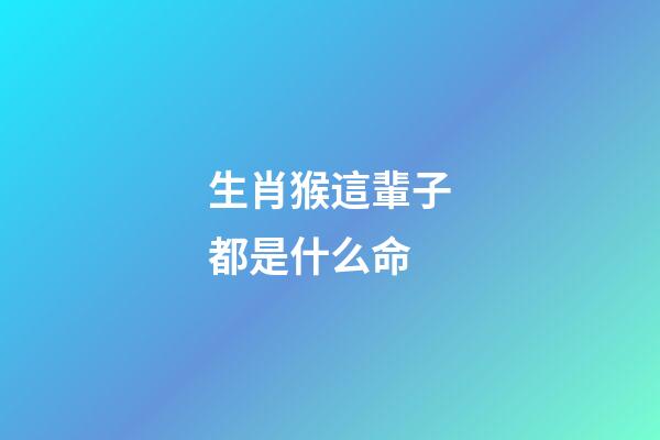 生肖猴這輩子都是什么命