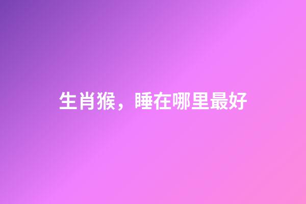 生肖猴，睡在哪里最好