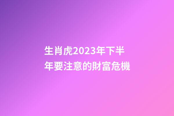 生肖虎2023年下半年要注意的財富危機