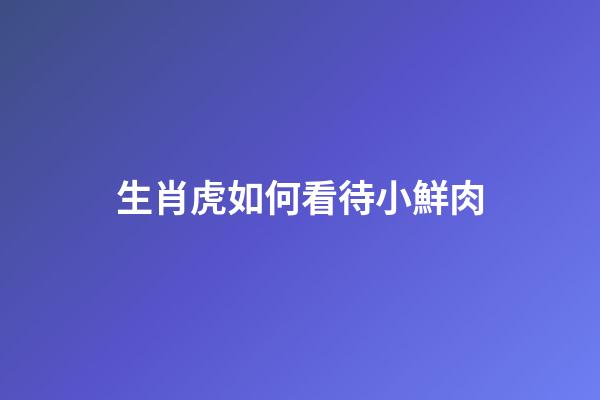 生肖虎如何看待小鮮肉