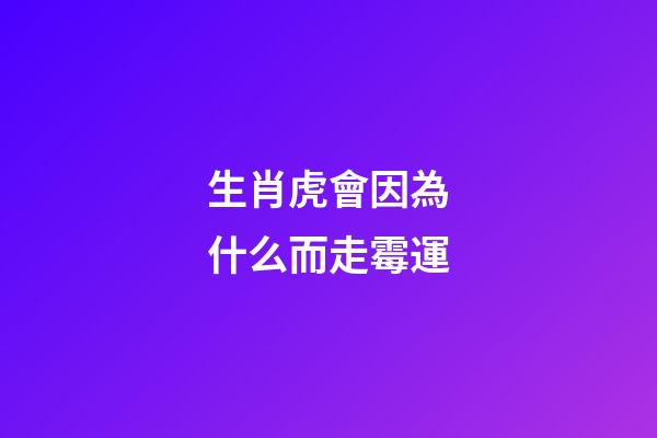 生肖虎會因為什么而走霉運