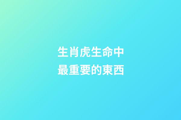 生肖虎生命中最重要的東西