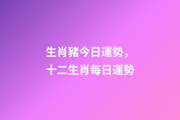 生肖豬今日運勢，十二生肖每日運勢-第1張-觀點-玄機派