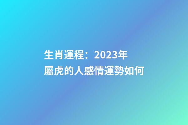 生肖運程：2023年屬虎的人感情運勢如何