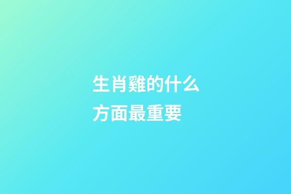 生肖雞的什么方面最重要