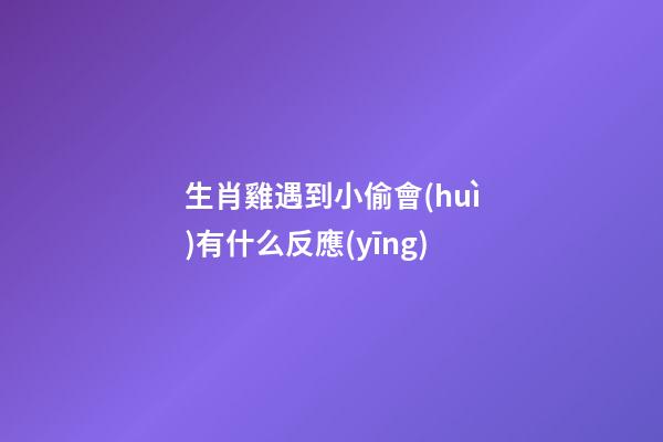 生肖雞遇到小偷會(huì)有什么反應(yīng)
