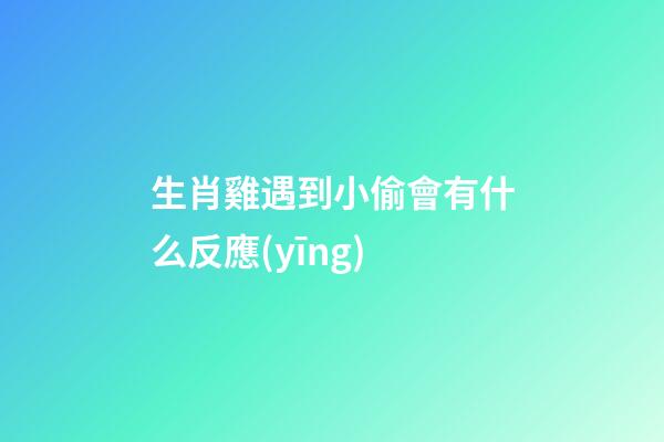 生肖雞遇到小偷會有什么反應(yīng)