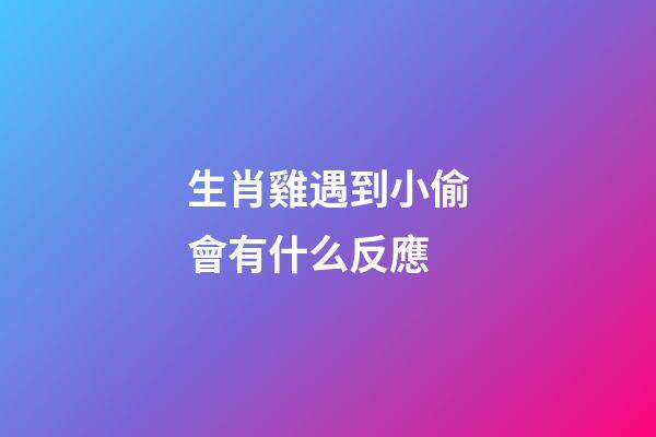 生肖雞遇到小偷會有什么反應
