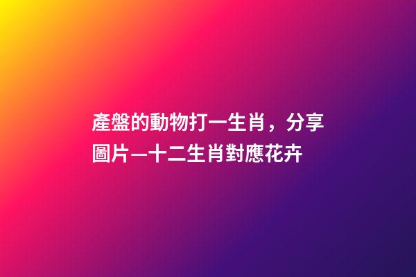產盤的動物打一生肖，分享圖片—十二生肖對應花卉-第1張-觀點-玄機派