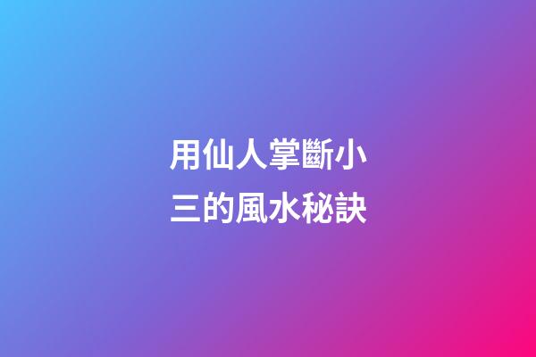 用仙人掌斷小三的風水秘訣