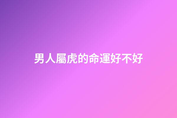 男人屬虎的命運好不好