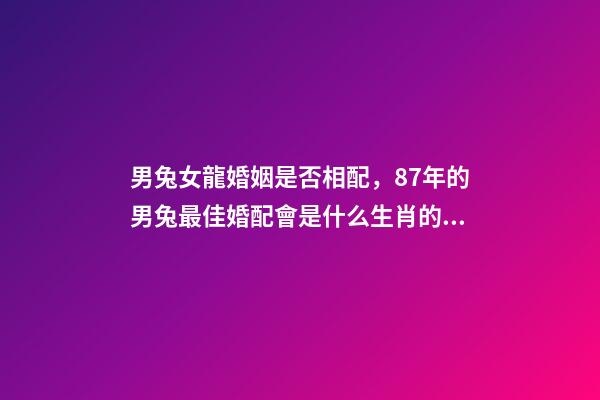 男兔女龍婚姻是否相配，87年的男兔最佳婚配會是什么生肖的女性-第1張-觀點-玄機派