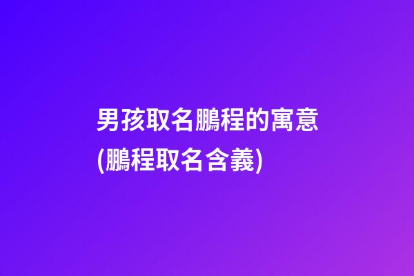 男孩取名鵬程的寓意(鵬程取名含義)