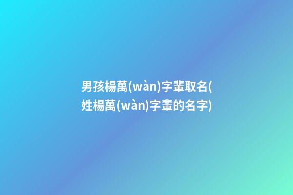 男孩楊萬(wàn)字輩取名(姓楊萬(wàn)字輩的名字)