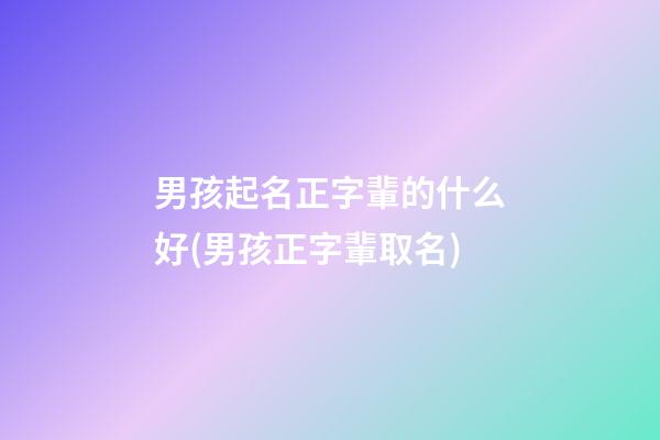 男孩起名正字輩的什么好(男孩正字輩取名)