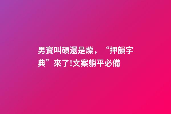 男寶叫碩還是爍，“押韻字典”來了!文案躺平必備-第1張-觀點-玄機派