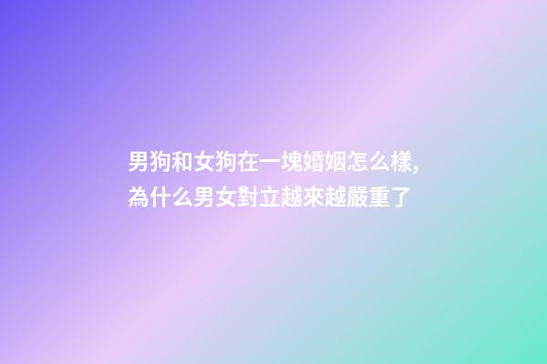 男狗和女狗在一塊婚姻怎么樣,為什么男女對立越來越嚴重了-第1張-觀點-玄機派
