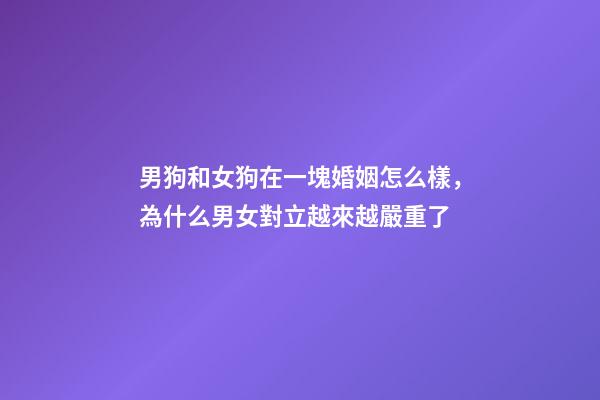 男狗和女狗在一塊婚姻怎么樣，為什么男女對立越來越嚴重了-第1張-觀點-玄機派