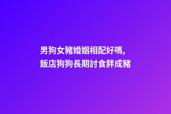 男狗女豬婚姻相配好嗎,飯店狗狗長期討食胖成豬-第1張-觀點-玄機派