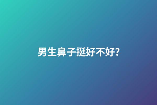 男生鼻子挺好不好？