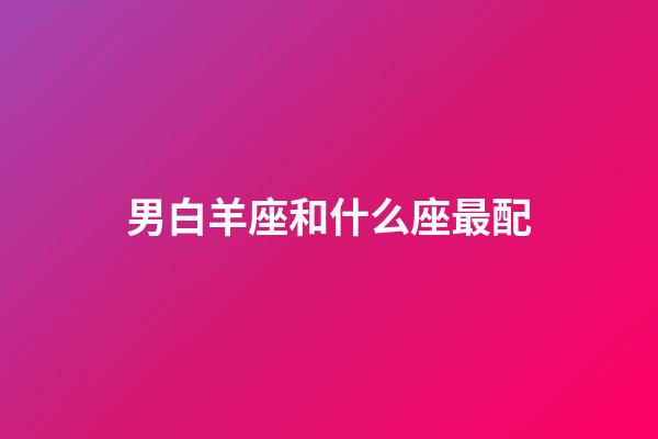 男白羊座和什么座最配（雙子座男和什么座最配）-第1張-星座運勢-玄機派