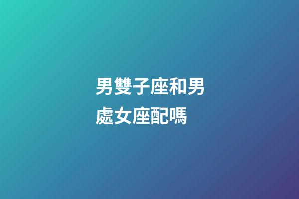 男雙子座和男處女座配嗎-第1張-星座運(yùn)勢-玄機(jī)派