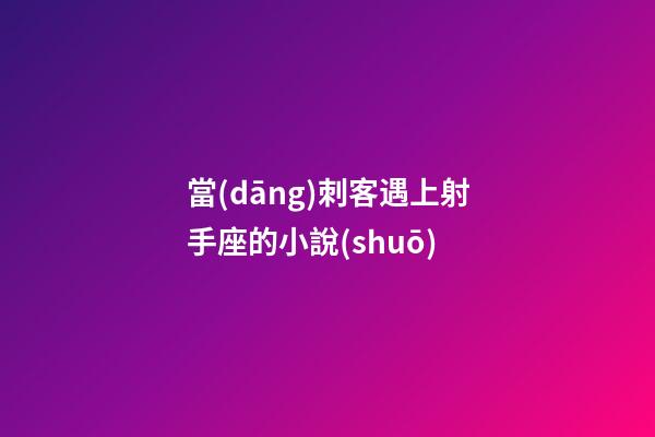當(dāng)刺客遇上射手座的小說(shuō)