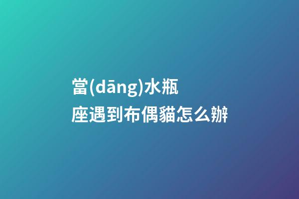 當(dāng)水瓶座遇到布偶貓怎么辦
