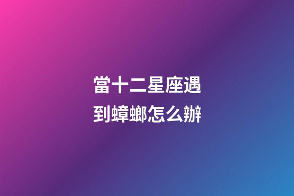 當十二星座遇到蟑螂怎么辦-第1張-星座運勢-玄機派