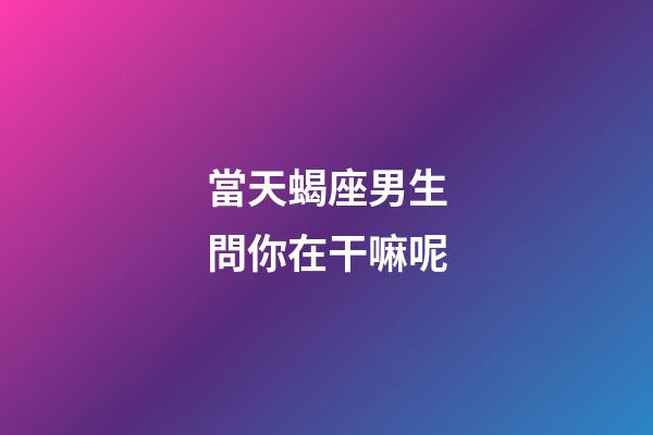 當天蝎座男生問你在干嘛呢-第1張-星座運勢-玄機派