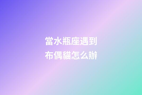 當水瓶座遇到布偶貓怎么辦