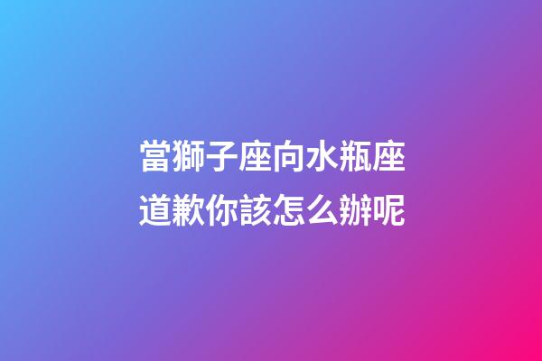 當獅子座向水瓶座道歉你該怎么辦呢
