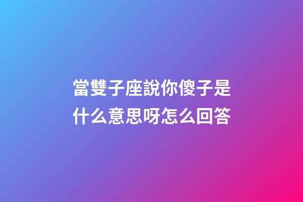 當雙子座說你傻子是什么意思呀怎么回答-第1張-星座運勢-玄機派