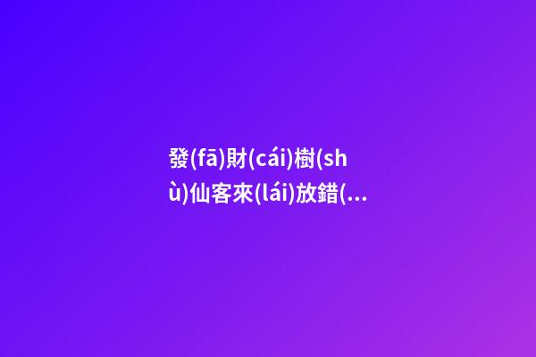 發(fā)財(cái)樹(shù)仙客來(lái)放錯(cuò)位置“不吉利”，正確擺放地方你清楚嗎？