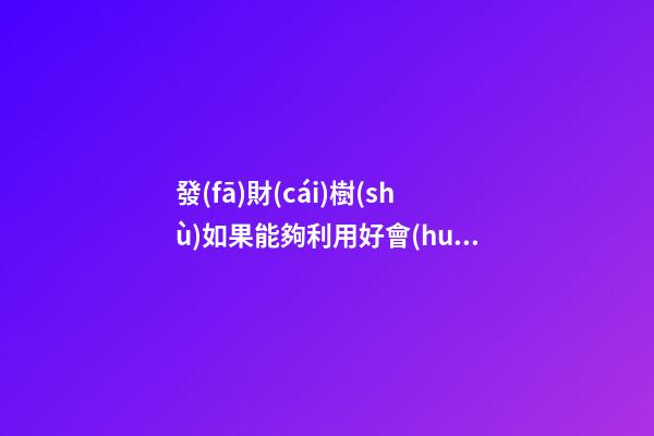 發(fā)財(cái)樹(shù)如果能夠利用好會(huì)對(duì)你運(yùn)勢(shì)有幫助