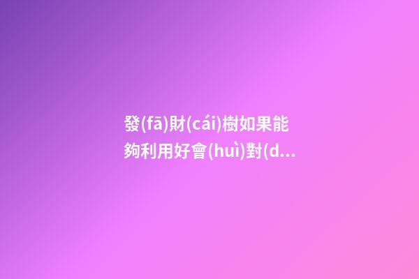 發(fā)財(cái)樹如果能夠利用好會(huì)對(duì)你運(yùn)勢(shì)有幫助