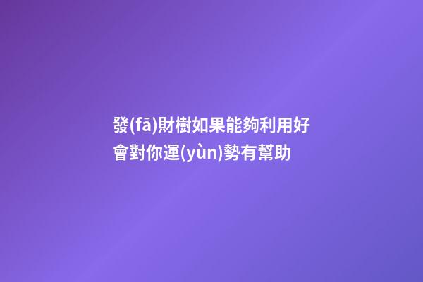 發(fā)財樹如果能夠利用好會對你運(yùn)勢有幫助