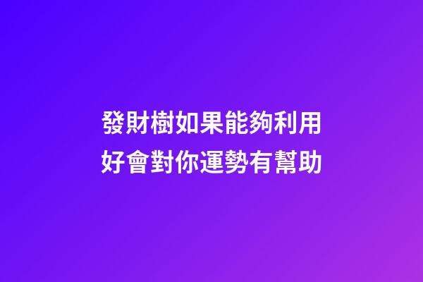 發財樹如果能夠利用好會對你運勢有幫助