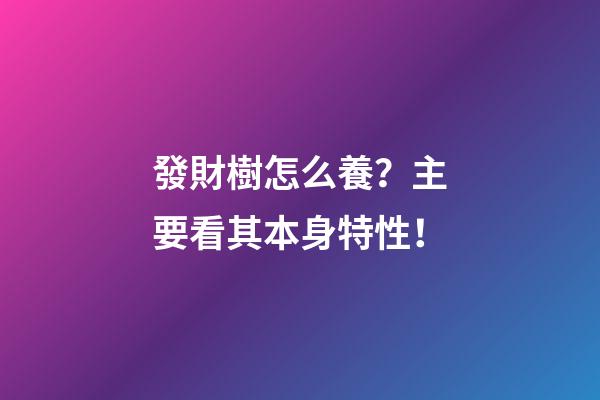 發財樹怎么養？主要看其本身特性！