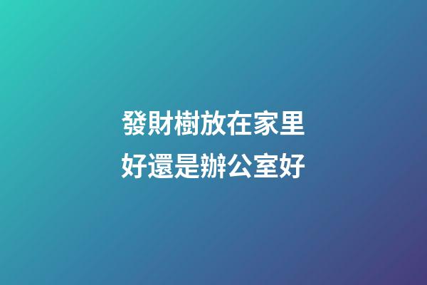 發財樹放在家里好還是辦公室好