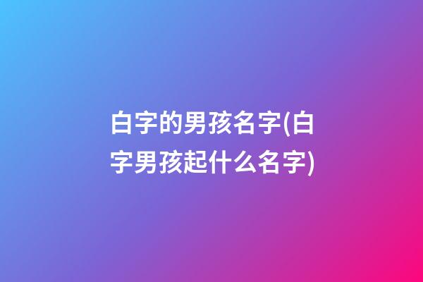 白字的男孩名字(白字男孩起什么名字)