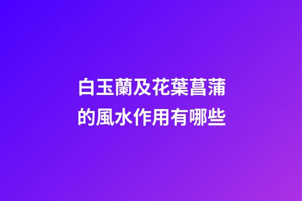 白玉蘭及花葉菖蒲的風水作用有哪些?