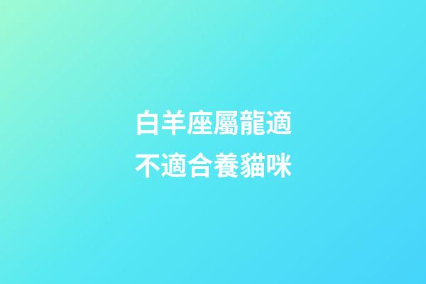 白羊座屬龍適不適合養貓咪-第1張-星座運勢-玄機派