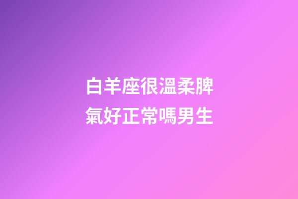 白羊座很溫柔脾氣好正常嗎男生-第1張-星座運勢-玄機派