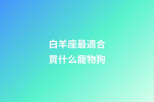 白羊座最適合買什么寵物狗-第1張-星座運勢-玄機派