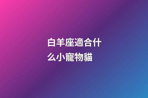白羊座適合什么小寵物貓-第1張-星座運勢-玄機派